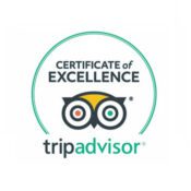 tripadvisor