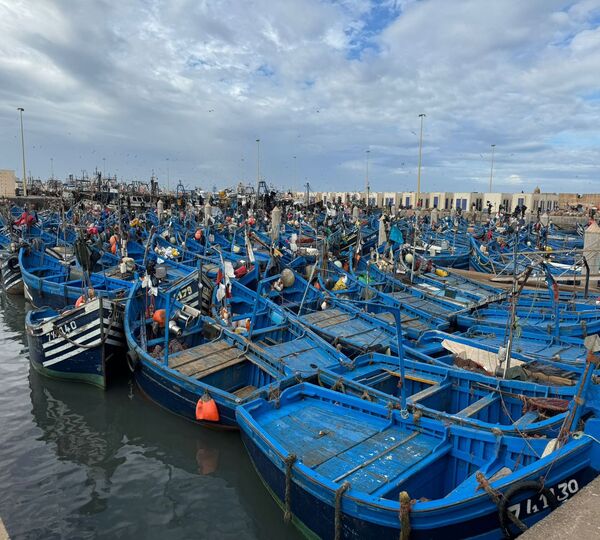 Essaouira Full Day Trip