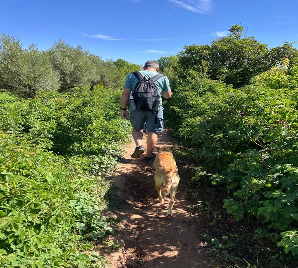 forest walk